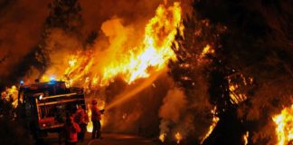 Δέηση καταπαύσεως εμπρησμών των δασών